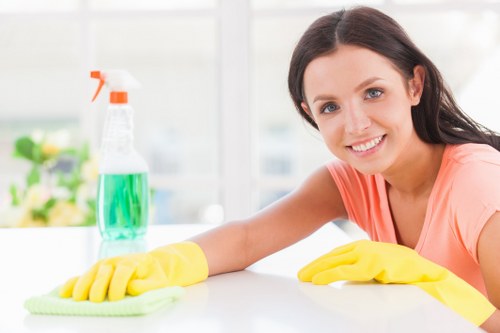 Professional move in cleaning in a Westhampstead flat with attention to kitchen surfaces