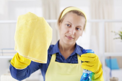 Cleaning a communal entrance area in a Westhampstead property