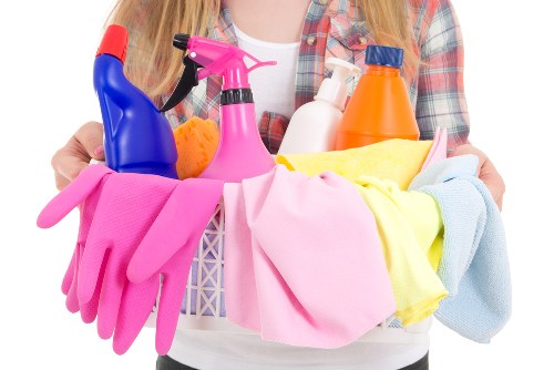 Professional pet stain odour removal service in a Westhampstead home