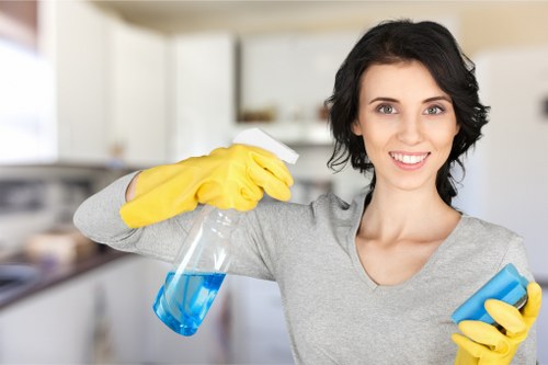 Upholstery cleaning for pet stains and smells in a local flat