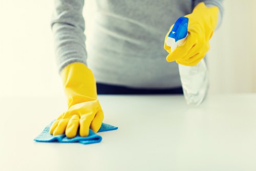 Careful rug cleaning process for a living room rug in Westhampstead