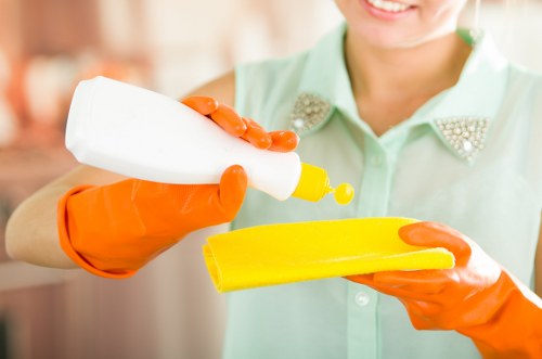 Deep cleaning treatment for pet odours on carpet in Westhampstead