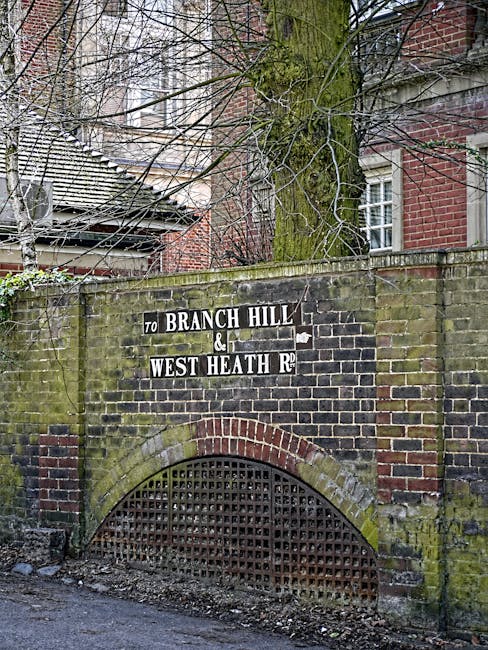 A brick wall with a black iron and brick archway at the bottom, situated beneath a large moss-covered tree, with leafless branches extending overhead. The wall displays a black and white directional sign pointing to 'Branch Hill' and 'West Heath Rd.' The environment appears weathered but clean, with no visible dirt or debris, and the surrounding area suggests an outdoor street scene in Hampstead. There are residential buildings with brick facades and tiled roofs in the background, lit by natural daylight. The overall scene reflects an urban setting with well-maintained surfaces, consistent with local signage and landscape features near properties, illustrating a typical streetscape in North West Hampstead as referenced on the topic of Camden Council cleaning waste rules.
