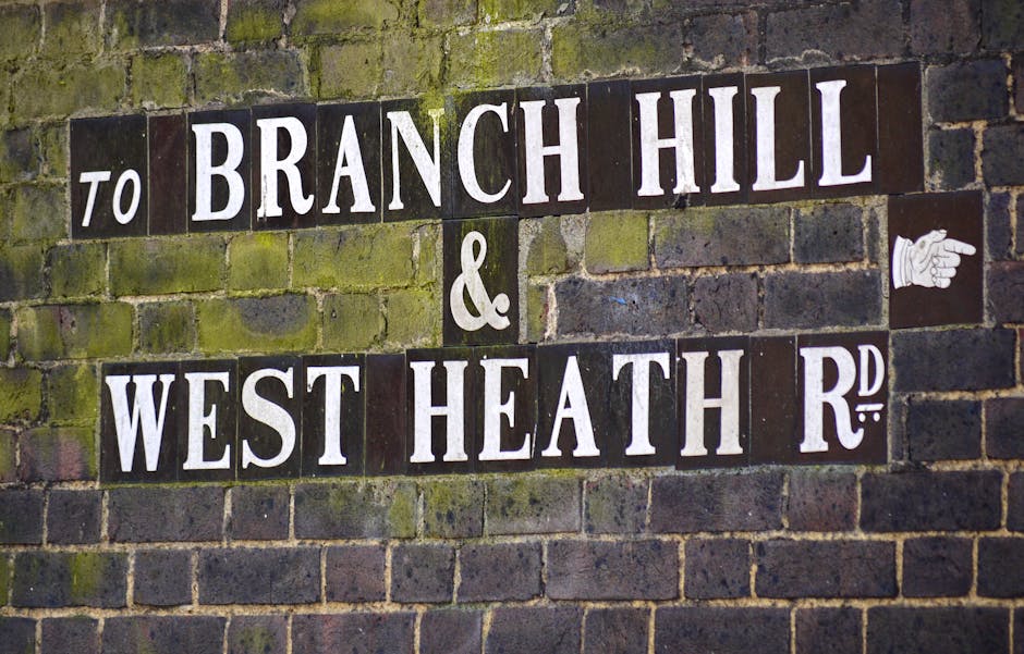 A close-up view of a moss-covered brick wall featuring a street sign with black and white lettering that reads 'To Branch Hill & West Heath Rd'. The sign is mounted on the weathered brick surface, which shows signs of age and outdoor exposure. The top right corner displays a small white hand-shaped symbol pointing to the right. The image captures the textured, slightly damp bricks and the clear, legible signage, typical of outdoor street signs in Hampstead, with natural lighting emphasizing the aged appearance of the wall. This setting relates to the topic of outdoor maintenance and cleanliness, resonating with surface cleaning and preservation as discussed on https://carpetcleanerswesthampstead.co.uk in the context of Camden Council cleaning waste rules in Hampstead.