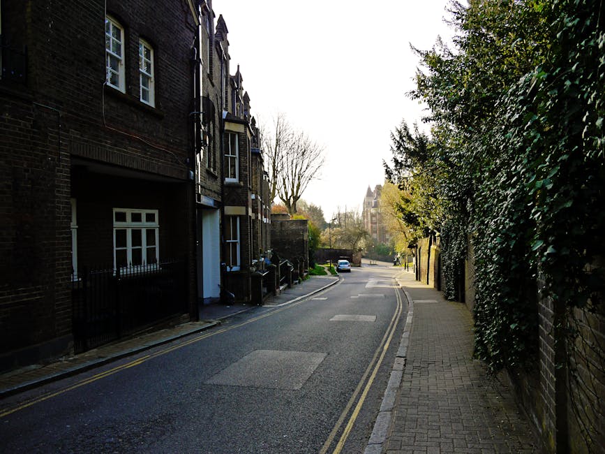 A brick wall with a black iron and brick archway at the bottom, situated beneath a large moss-covered tree, with leafless branches extending overhead. The wall displays a black and white directional sign pointing to 'Branch Hill' and 'West Heath Rd.' The environment appears weathered but clean, with no visible dirt or debris, and the surrounding area suggests an outdoor street scene in Hampstead. There are residential buildings with brick facades and tiled roofs in the background, lit by natural daylight. The overall scene reflects an urban setting with well-maintained surfaces, consistent with local signage and landscape features near properties, illustrating a typical streetscape in North West Hampstead as referenced on the topic of Camden Council cleaning waste rules.