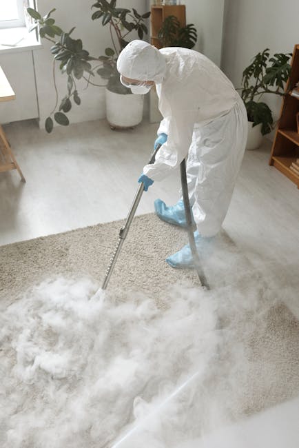 https://carpetcleanerswesthampstead.co.uk/blog/carpet-cleaning-west-hampstead-west-end-lane-specialists/