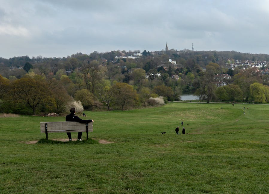 A person sitting on a wooden bench in a large, open grassy park, facing away from the camera towards distant trees, a small lake, and a hillside with houses and a church steeple. The park features well-maintained green lawns and mature trees with varying shades of green, some with white blossoms. The sky is overcast, casting a soft light over the scene. In the foreground, there are two small black dogs and a few distant individuals walking along the park's pathways. The setting illustrates a peaceful, outdoor environment suitable for relaxation and leisure activities, with a backdrop of urban residential areas. The image emphasizes the natural beauty and serenity of the Hampstead Heath area, accessible for recreational use and community enjoyment, consistent with services offered by [COMPANY_NAME] in surface cleaning and maintenance.